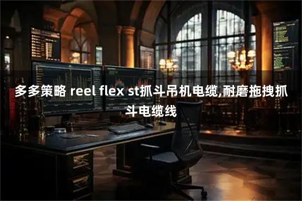 多多策略 reel flex st抓斗吊机电缆,耐磨拖拽抓斗电缆线