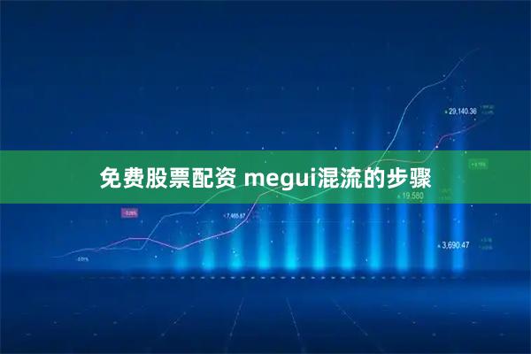 免费股票配资 megui混流的步骤